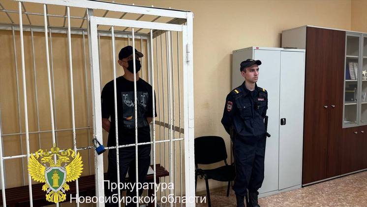29-летнего новосибирца арестовали за оскорбление полицейских и угрозы
