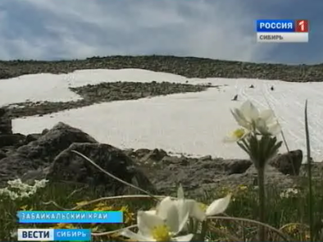 Школьники Забайкалья отправились тропами первопроходцев