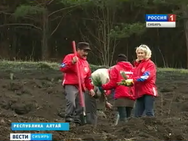 Жителей регионов Сибири все чаще стали волновать проблемы экологии