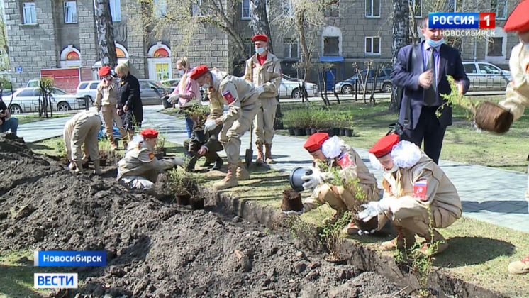 В новосибирском сквере Авиаторов создали сад в память о Великой Победе