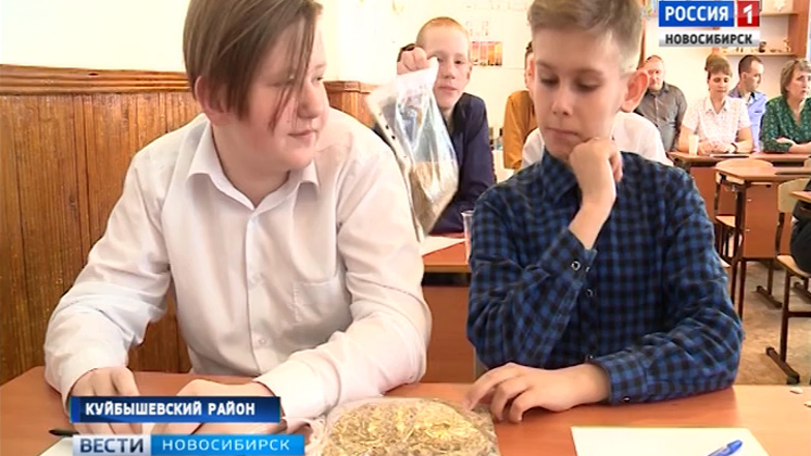 Уроки по современному агробизнесу проводят для школьников в Куйбышеве