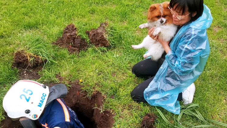 В Новосибирске спасли угодившую в подземную ловушку маленькую собаку