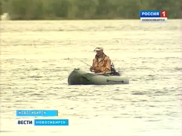 Почему рыбы в водоемах Новосибирской области становится все меньше?