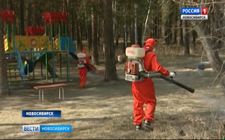 Новосибирские парки заканчивают обрабатывать от клещей 