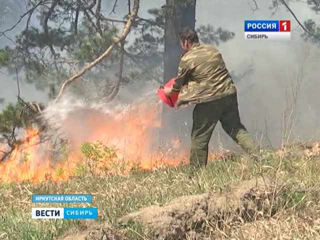 В Иркутской области расследуют причины возникновения лесных пожаров