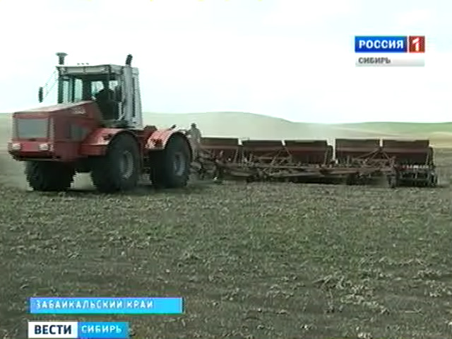 В Забайкальском крае продолжается посевная кампания