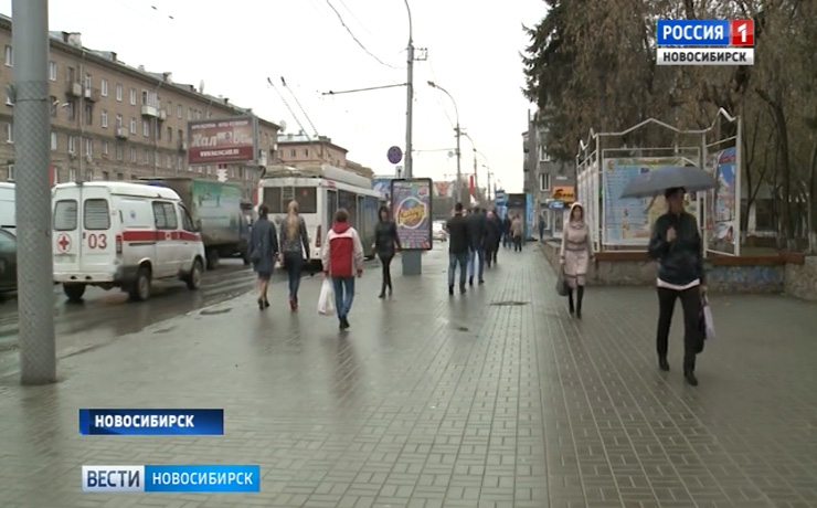 Штормовое предупреждение из-за заморозков объявили в Новосибирской области