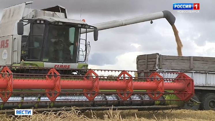 В Новосибирской области аграрии получат половину господдержки к июню