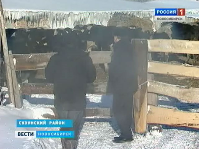 Новосибирские аграрии просят отсрочки по кредитам