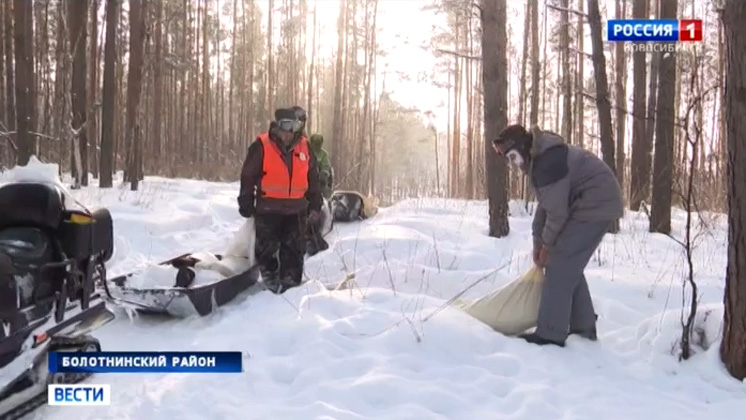 Новосибирские охотоведы организуют столовые для голодных диких зверей