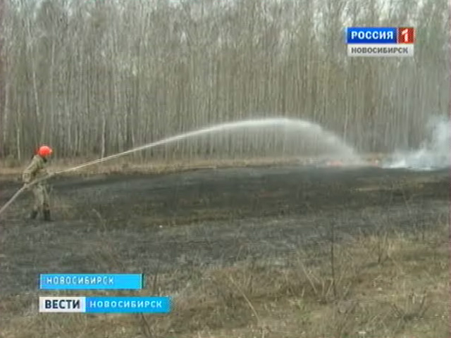 Пожароопасный сезон в Новосибирской области наступил раньше обычного