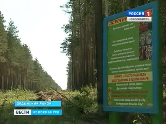 Как в эти дни охраняют и восстанавливают леса?