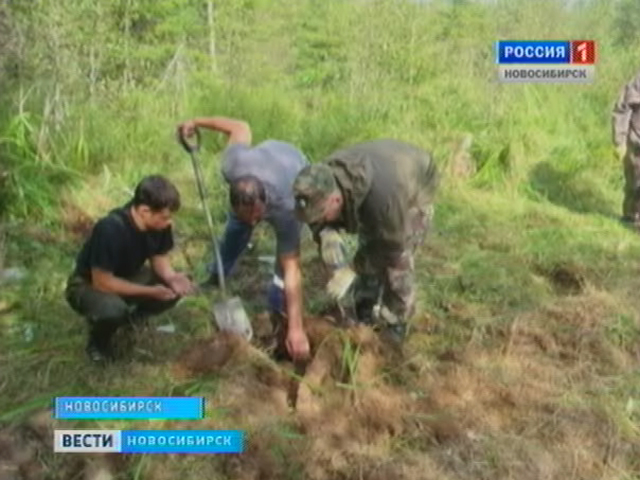 Новосибирские поисковики возвращают на родину пропавших без вести