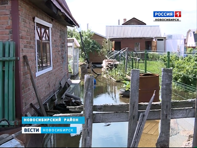 Грунтовые воды затопили сотню дачных участков под Новосибирском