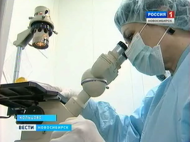 Ученые новосибирского центра &quot;Вектор&quot; разработали вакцину от свиного гриппа
