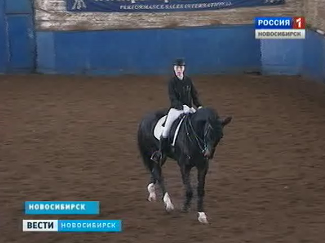 В Новосибирске проходит открытый чемпионат округа по конному спорту