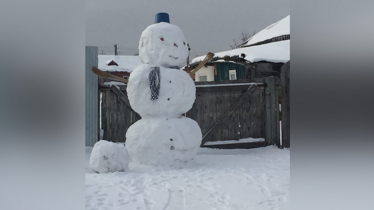 Парад снеговиков проходит в новосибирском селе Каменка 