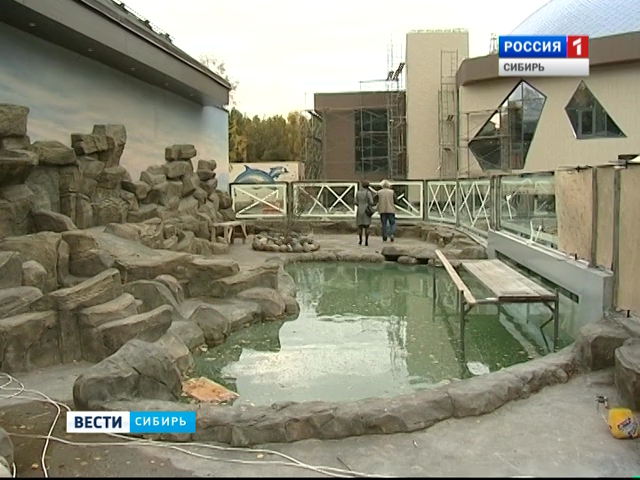 В Новосибирске заканчивают стройку дельфинария