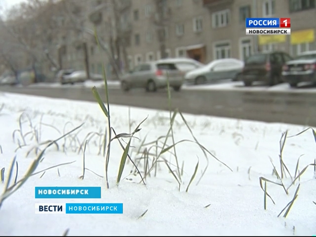 Мокрый снег будет идти в Новосибирске до конца недели