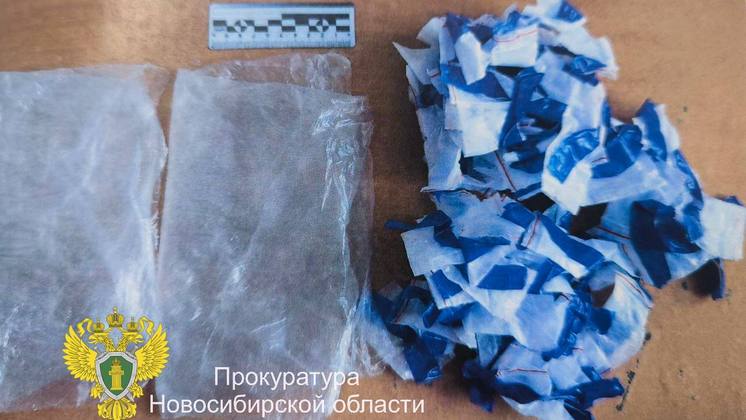 Троих новосибирцев осудили за попытку продать 500 свёртков с наркотиками