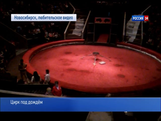 Мокрое представление: на зрителей и артистов новосибирского цирка лил дождь