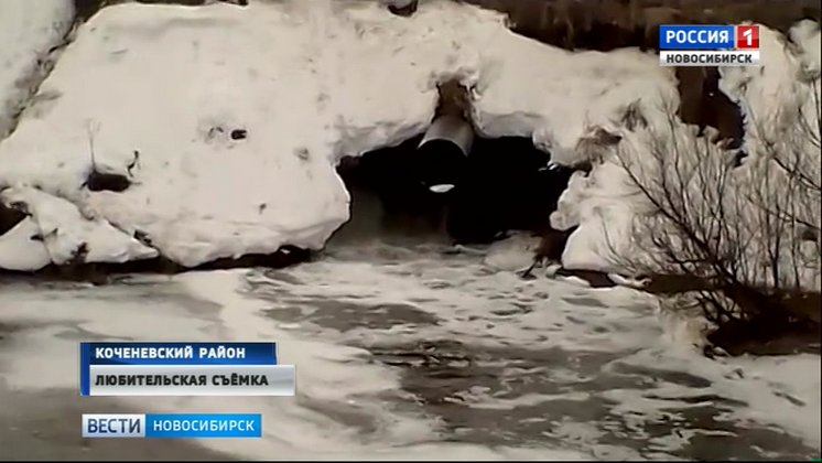 Вешние воды подмыли дамбу в Коченевском районе Новосибирской области