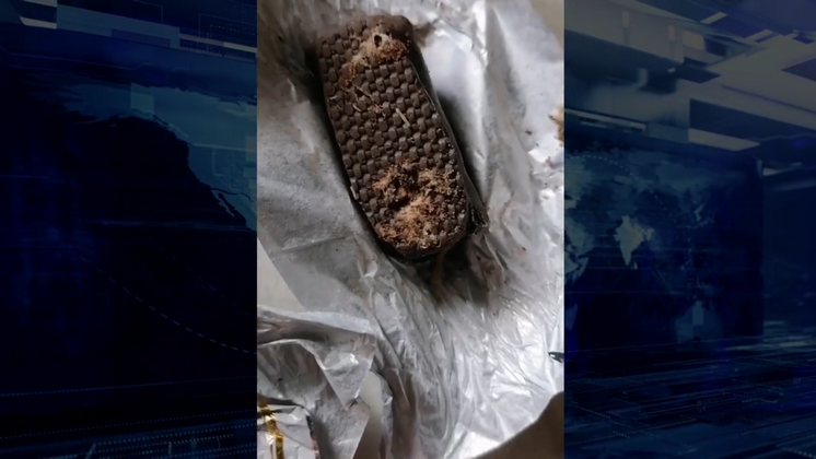 Видео с червивыми конфетами обсуждают новосибирцы в соцсетях