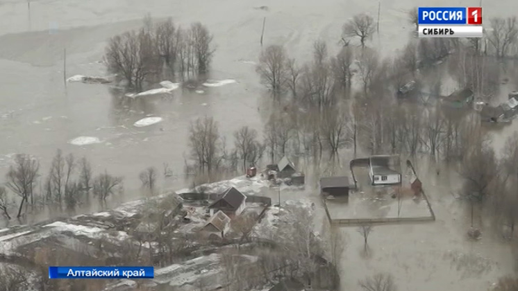 Сибирь накрыла первая волна паводка: в Алтайском крае несколько сёл оказались под водой