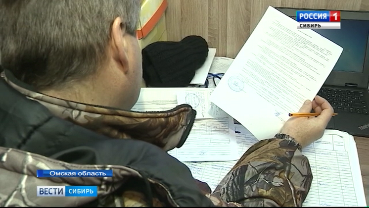 В Омской области ущерб от работы «черных лесорубов» превысил миллиард рублей