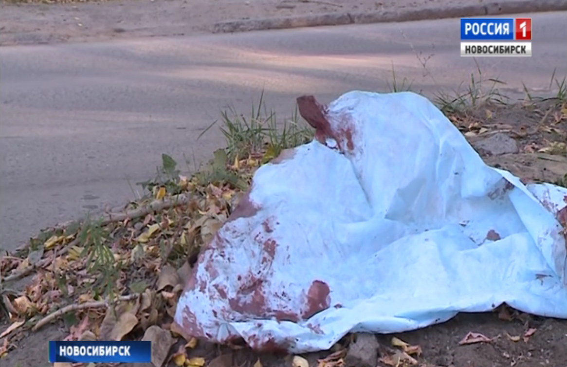 В Новосибирске девушку убило веткой дерева: все подробности 