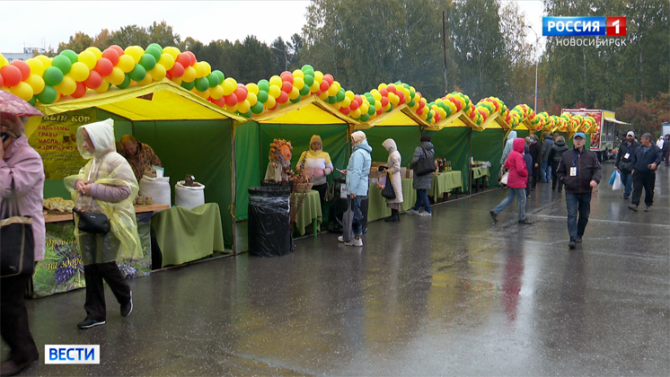 Проведение уличных сельхозярмарок возобновили в Новосибирской области