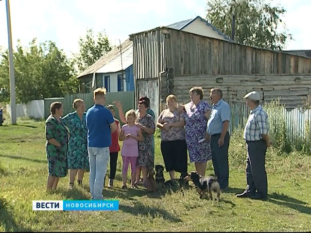 Погода в сумах каргатского новосибирской