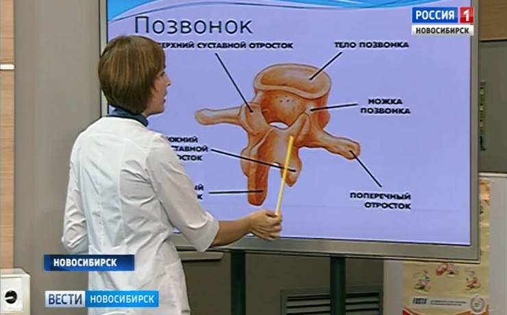 К какому врачу обращаться если болит