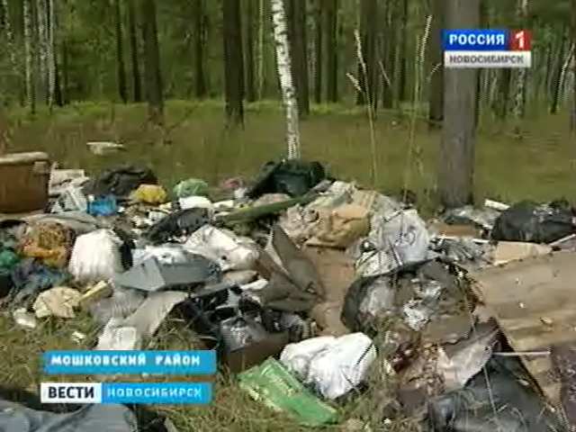 Жители села Матково обвиняют дачников в замусоривании леса