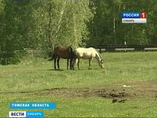 Как распоряжаются земельными наделами в регионах Сибири