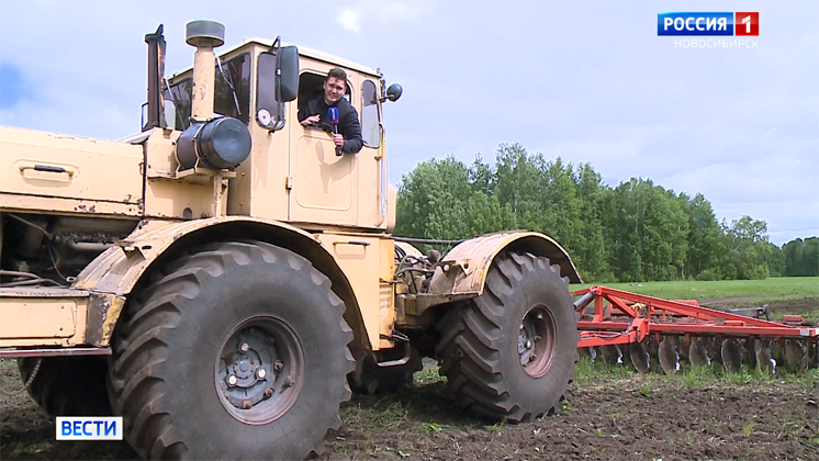 Непогода помешала аграриям в Кыштовском районе засеять поля