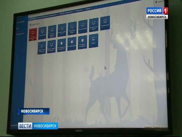 В Новосибирске без скандалов и очередей разыграли лицензии на отстрел лосей и косуль   