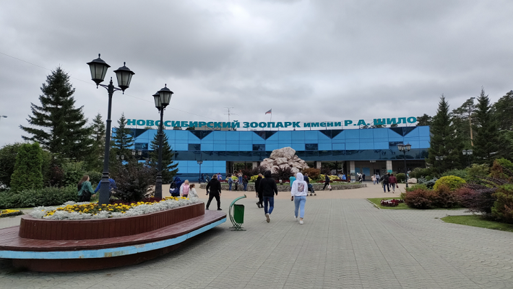В Новосибирске зоопарк объявил бесплатное посещение для пенсионеров
