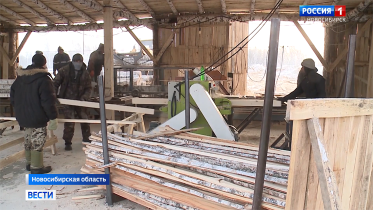 С нелегальными пунктами заготовки древесины борются в Новосибирской области