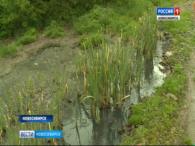 Стоки из канализации попадают в реку и грозят Новосибирску экологической катастрофой