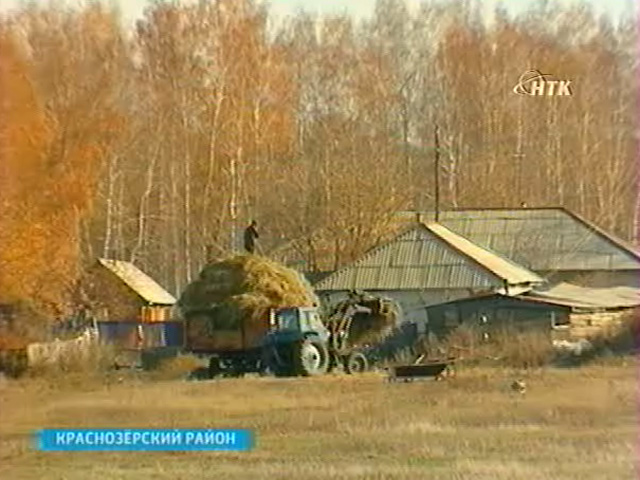В Новосибирской области перепрофилируют сельскохозяйственные предприятия