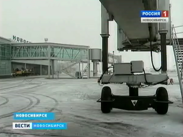 В новосибирском аэропорту Толмачево планируют построить стоянки для широкофюзеляжных самолетов