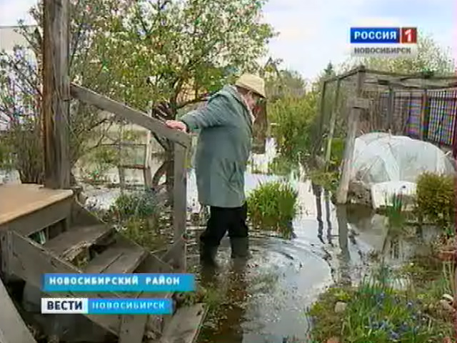Из-за построенной по соседству автомобильной трассы под Новосибирском затопило дачи