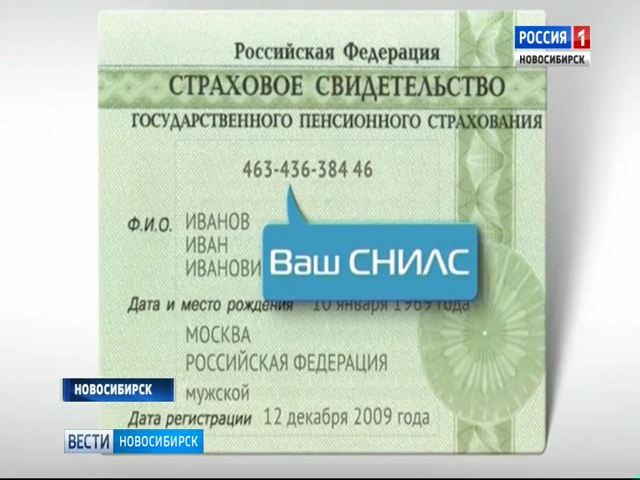 «Охотники за СНИЛСами» придумали новый способ получения данных о новосибирцах