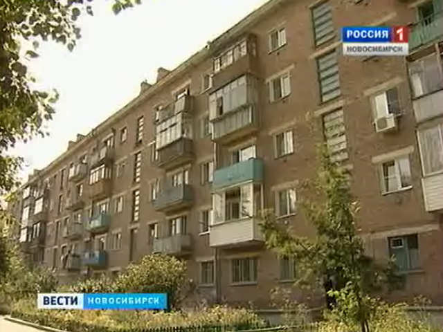 Жителей одного из домов Новосибирска атаковали блохи