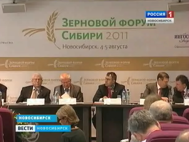 Из долговой ямы - в лидеры. Смогут ли сибирские хлеборобы заработать на нынешнем урожае?