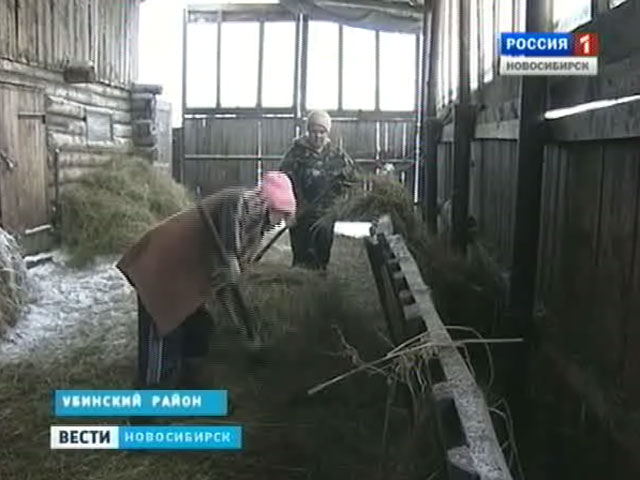 Фермеры из Убинки стали первыми в Новосибирской области, кто получил господдержку в полтора миллиона