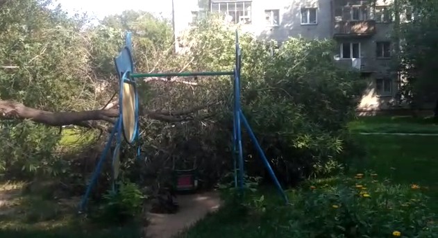 Дерево упало на детскую площадку в центре Новосибирска