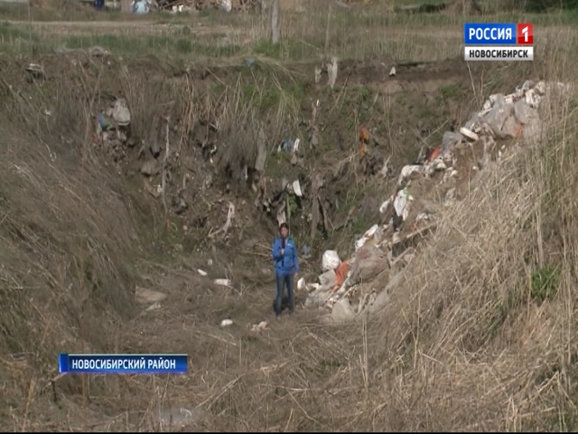 В Новосибирской области мужчина обнаружил свалку на купленном у властей участке земли   