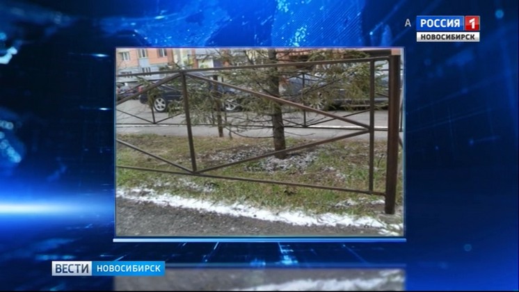 В Новосибирской области выпал первый снег